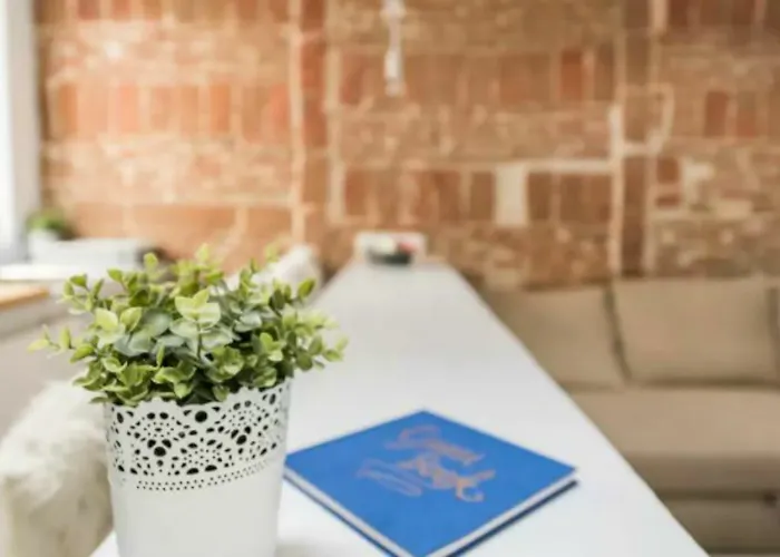 Apartamento De Diseno En Lavapies